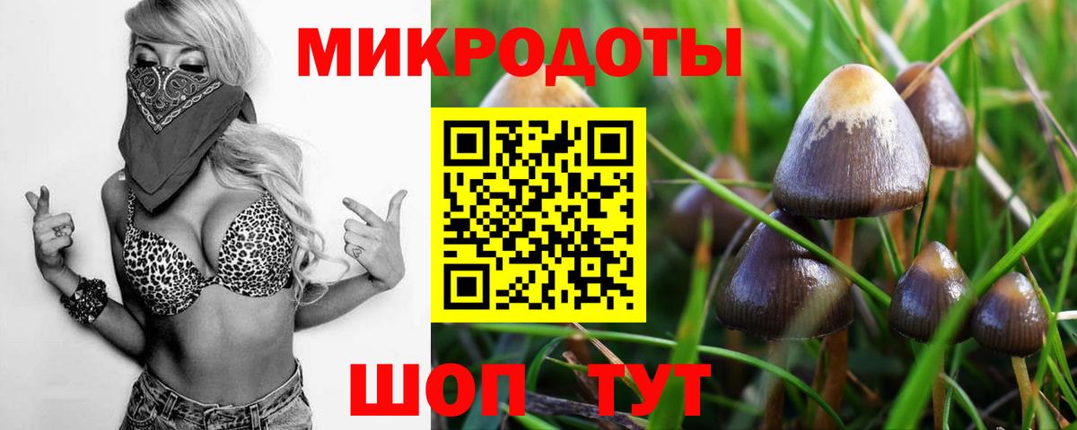 Галлюциногенные грибы MAGIC MUSHROOMS  Галлюциногенные грибы MAGIC MUSHROOMS  Вход с VPN  Котлас 